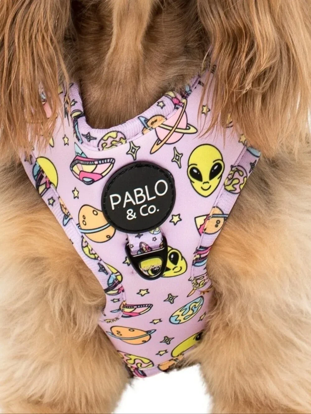 Purple Alien Print Harness